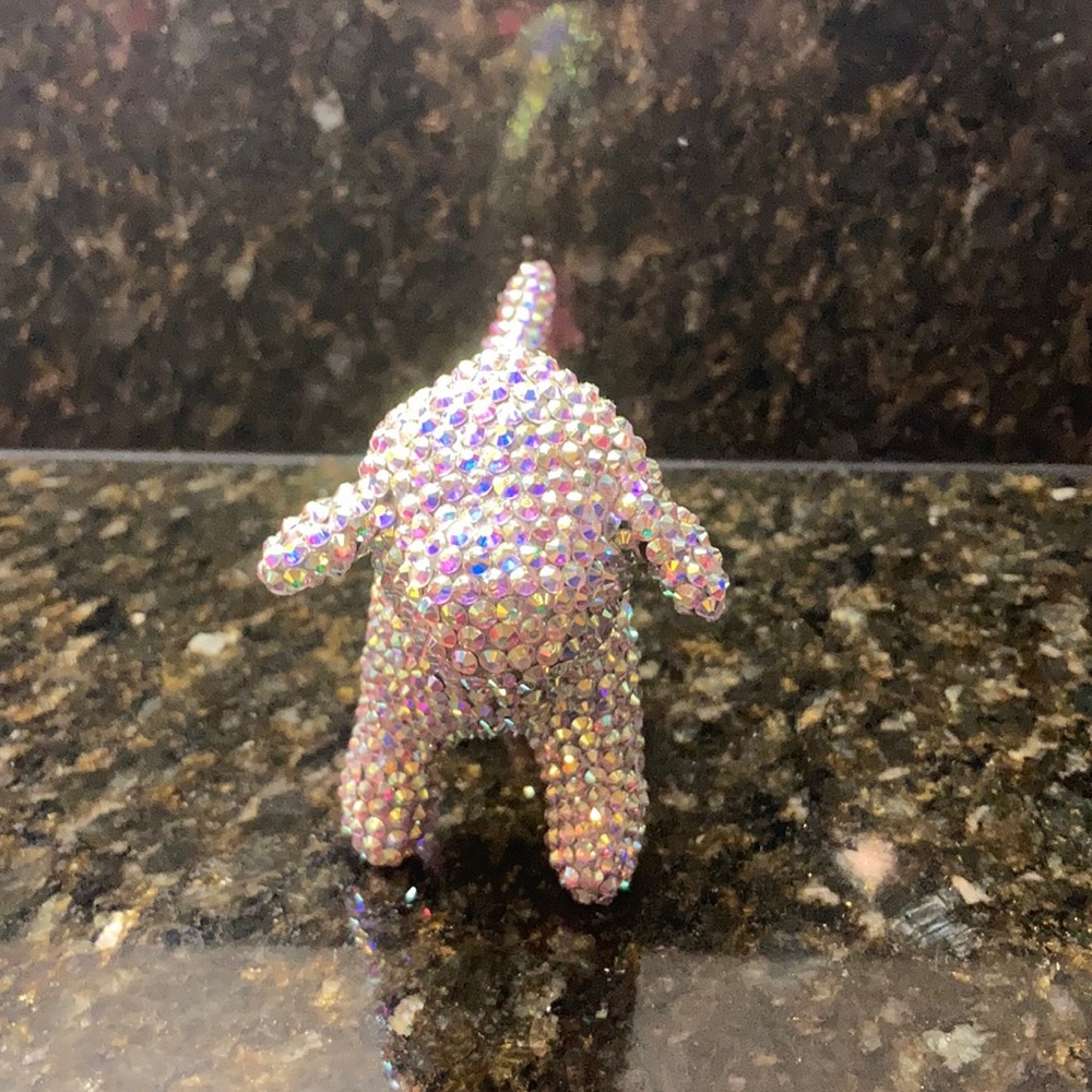 Clear ab bling Victoria’s Secret dog